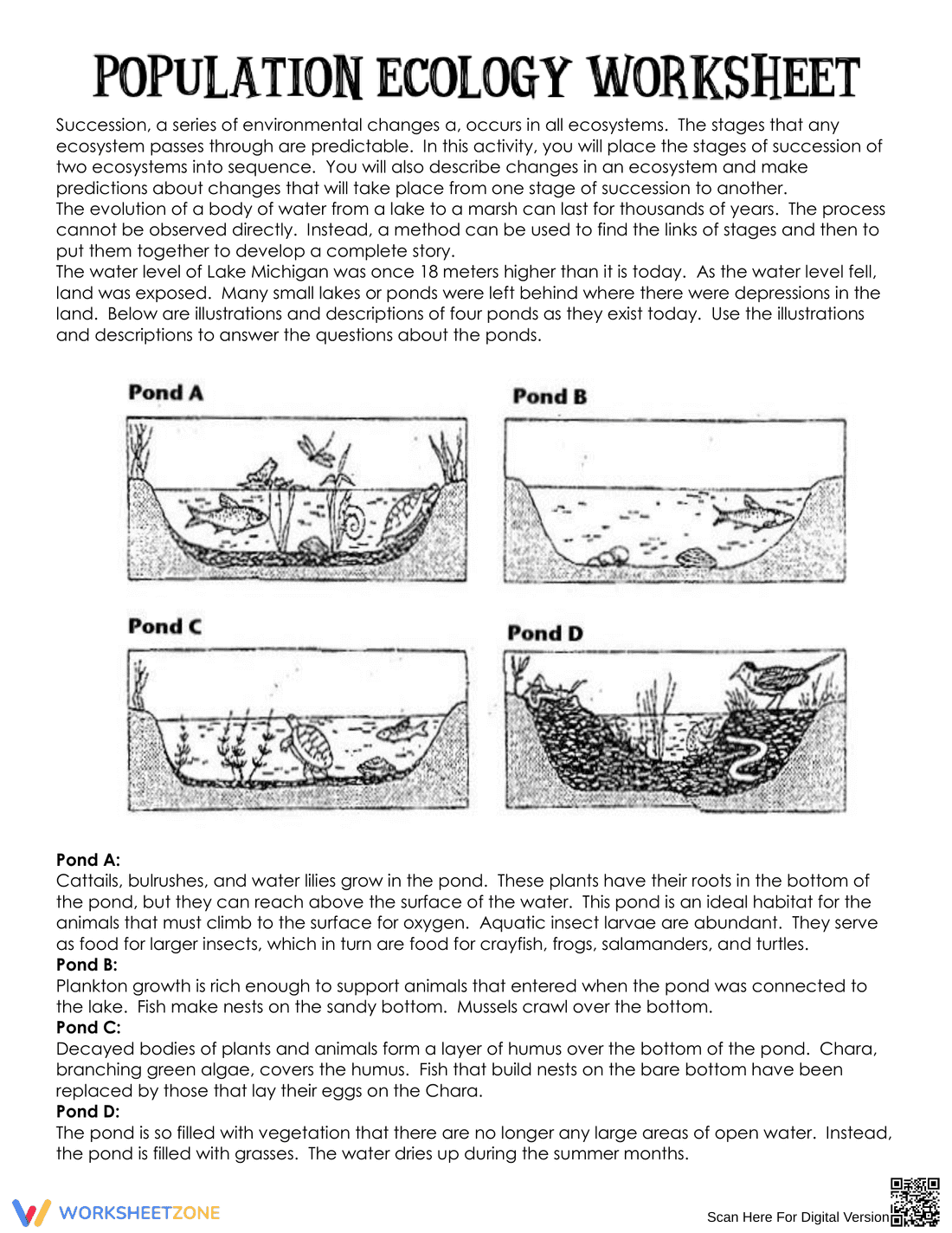 Population Ecology Worksheet - Page 1