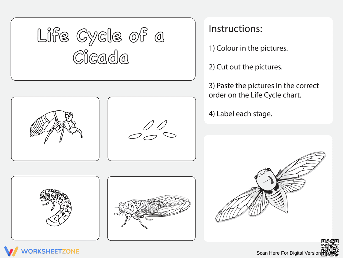 Life Cycle of a Cicada - Page 1