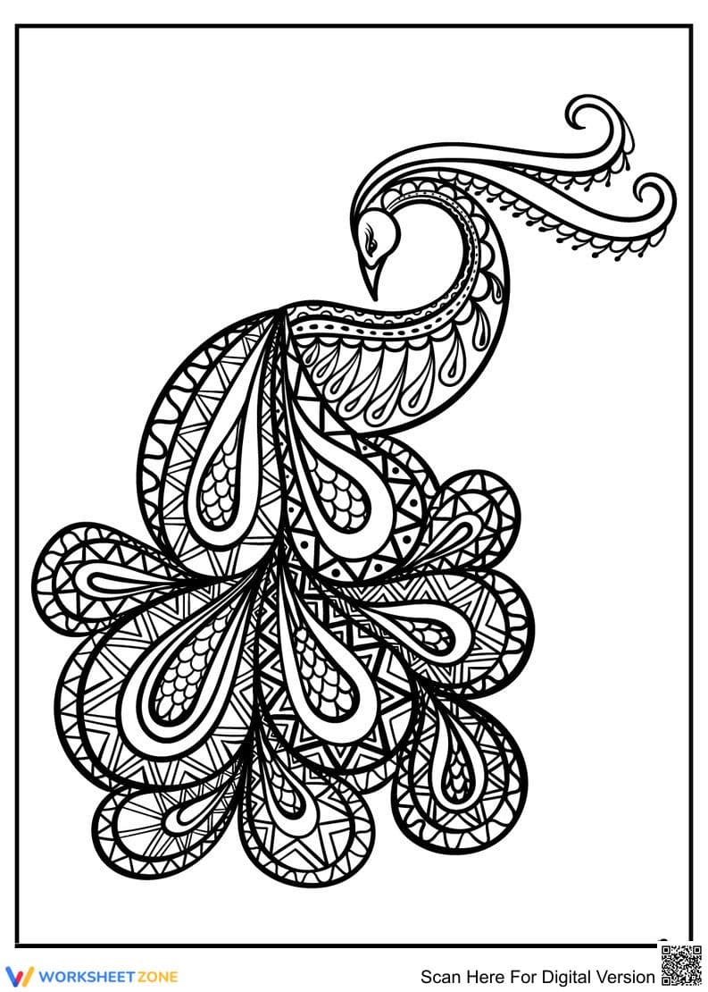 Pretty Peacock Illustration - Page 1