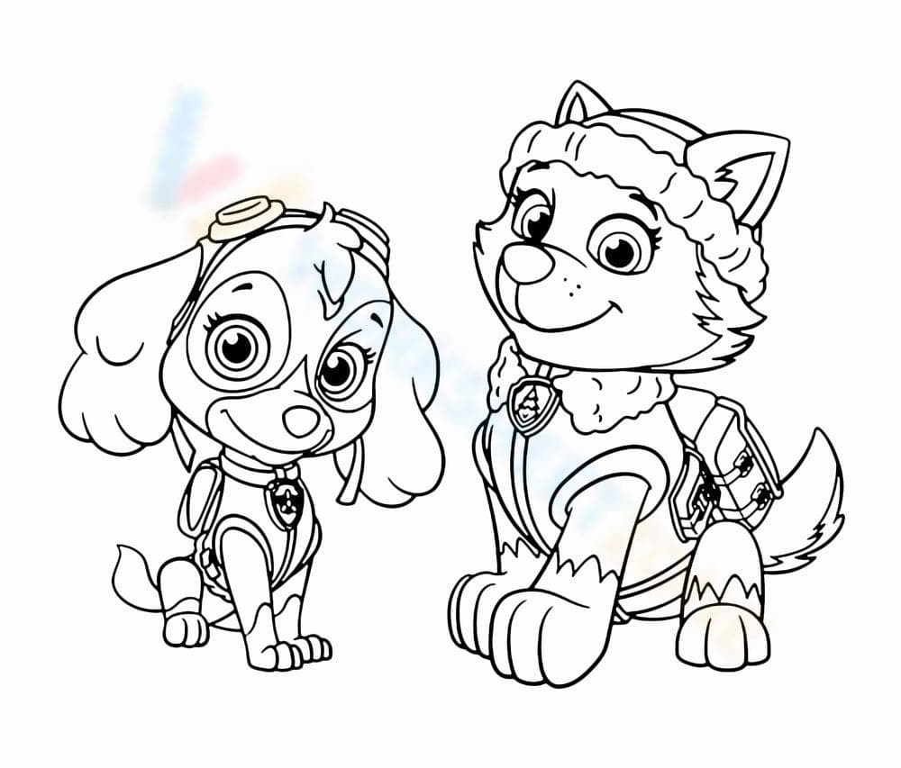 Everest Paw Patrol - Page 1