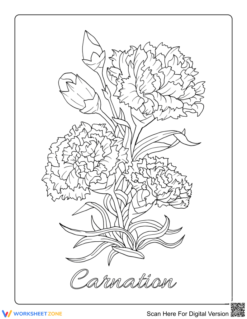 Realistic Carnations Printable Worksheet | Grade 5-12 Ready - Page 1