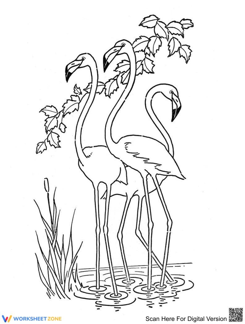 A Flock of Flamingo Worksheet - Page 1