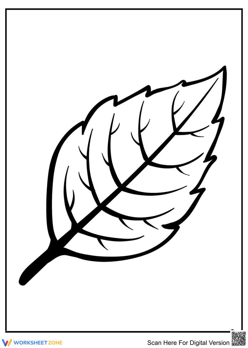 Simple Leaf Coloring Page | Essential Nature Printable - Page 1