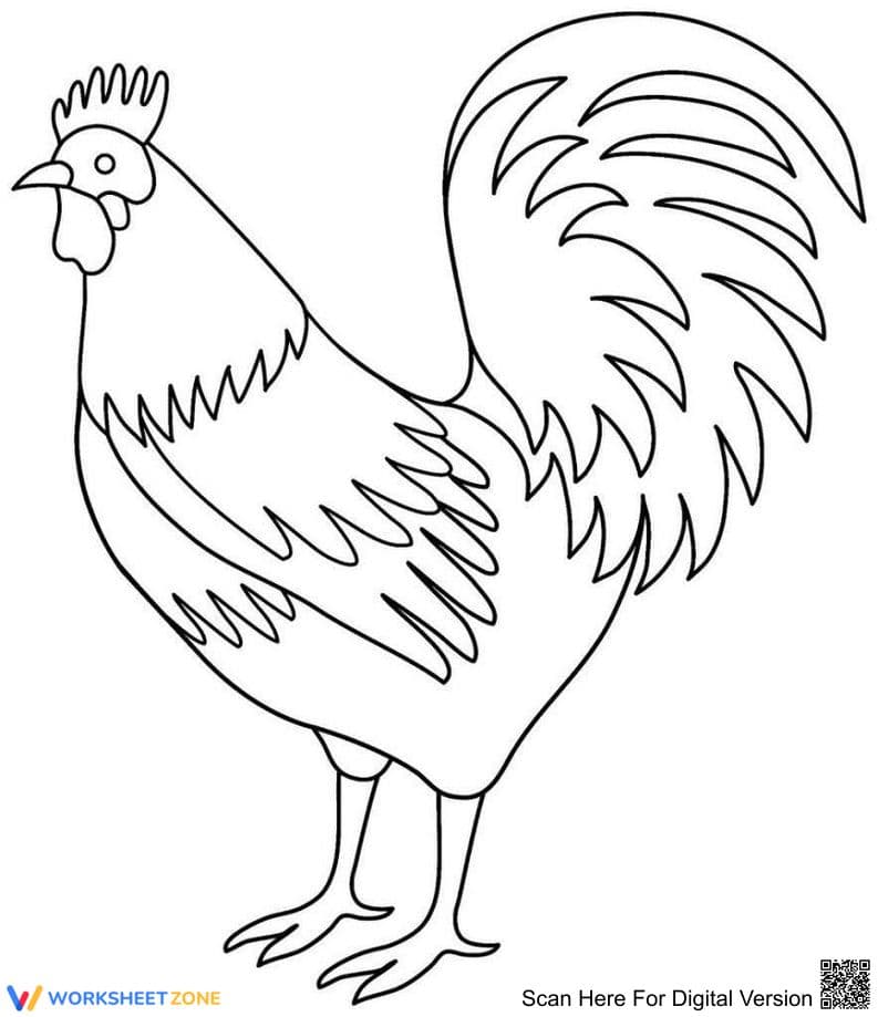 Rooster Coloring Page | Essential Grade K-2 Printable - Page 1