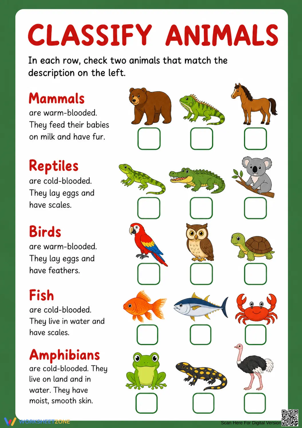 Essential Animal Classification Worksheet | Grade 2 - Page 1