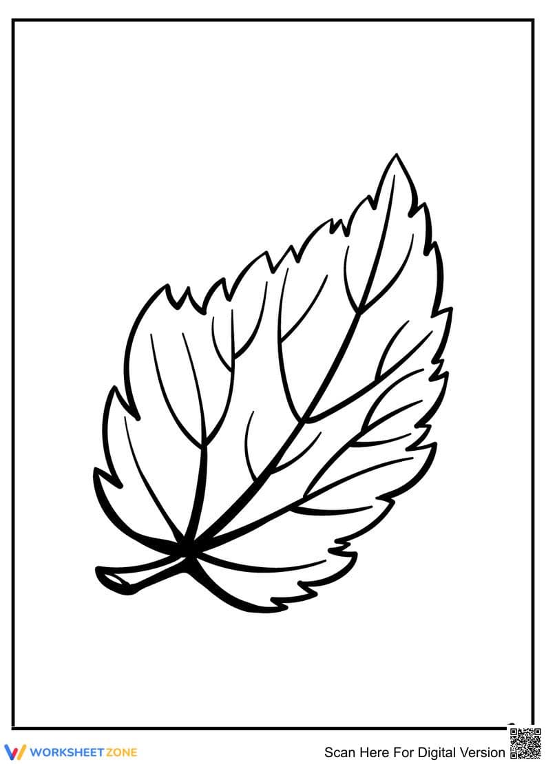 Printable Leaf Coloring Page | Grade K-5 Nature Art - Page 1
