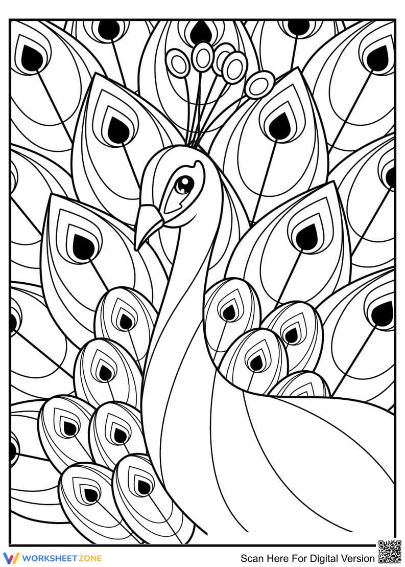 Gorgeous Peacock Illustration for Art Education - Page 1