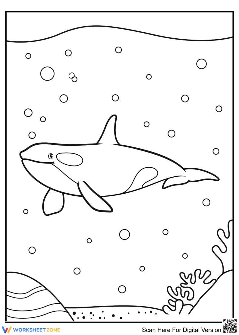 Happy Whale Coloring Page | Essential Grade K-5 Ready - Page 1