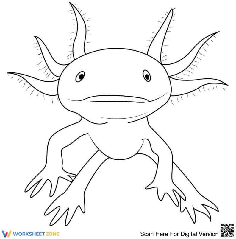 Axolotl Coloring Page | Essential Grade K-2 Printable - Page 1
