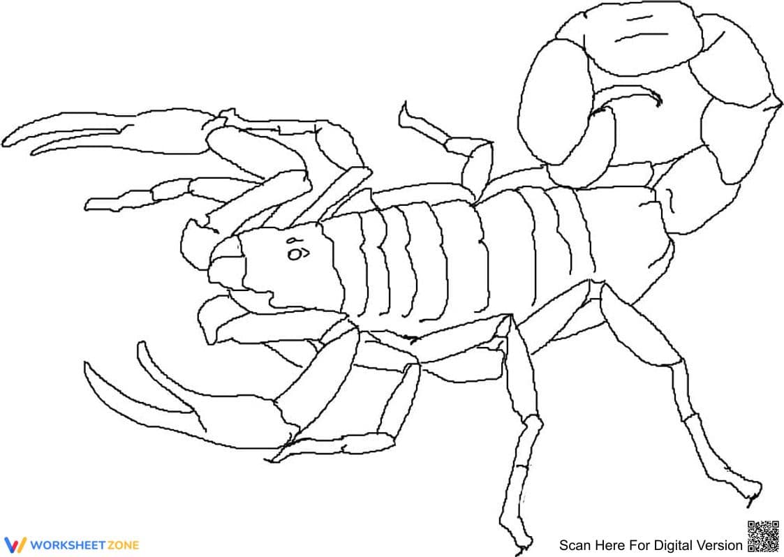 Creative Scorpion Activity Sheet - Page 1