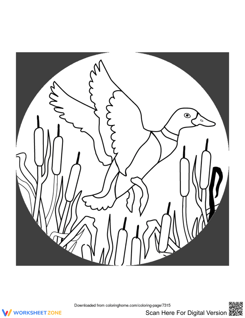 Grade K-5 Flying Duck — Printable No-Prep Worksheet - Page 1