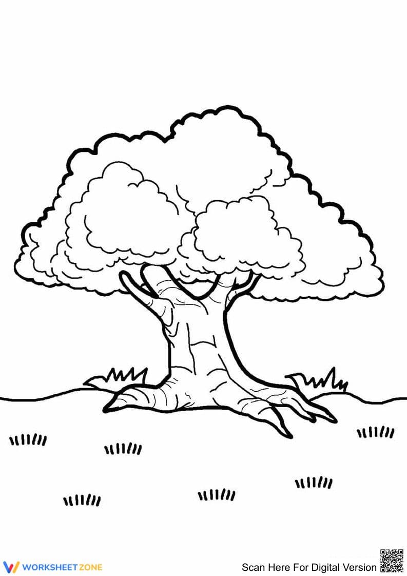 Old Tree Coloring Page | Essential Printable Worksheet - Page 1