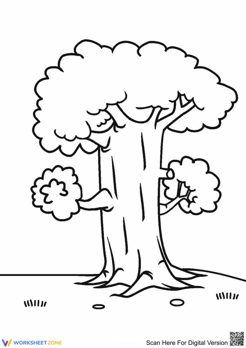 Big Tree Coloring Page | Essential Grade K-5 Art - Page 1