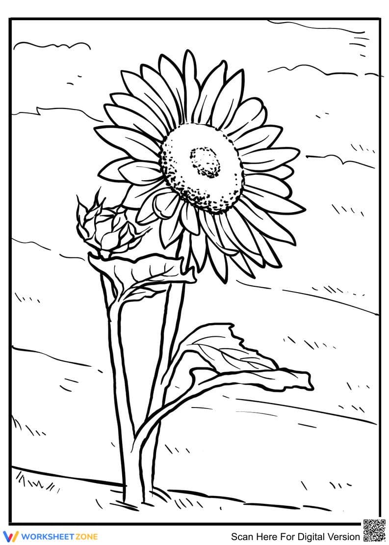 Sunflower Coloring Page | Essential Grade K-5 Printable - Page 1