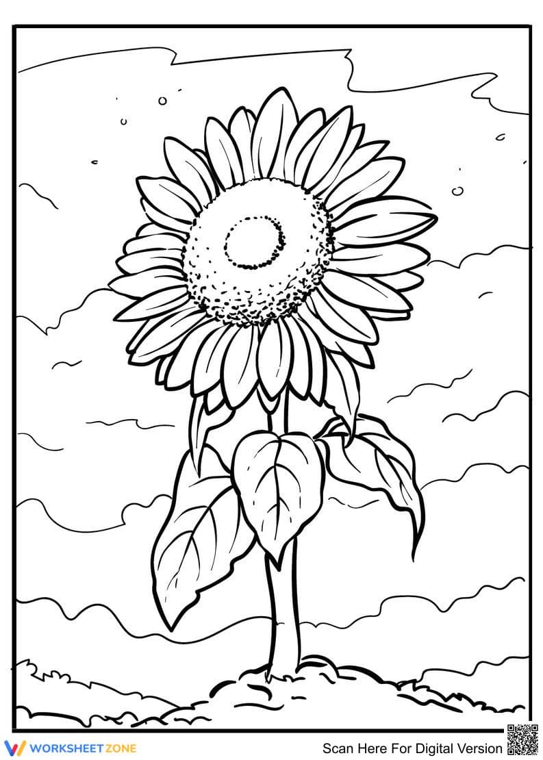 Sunflower Coloring Page | Grade K-5 Printable - Page 1