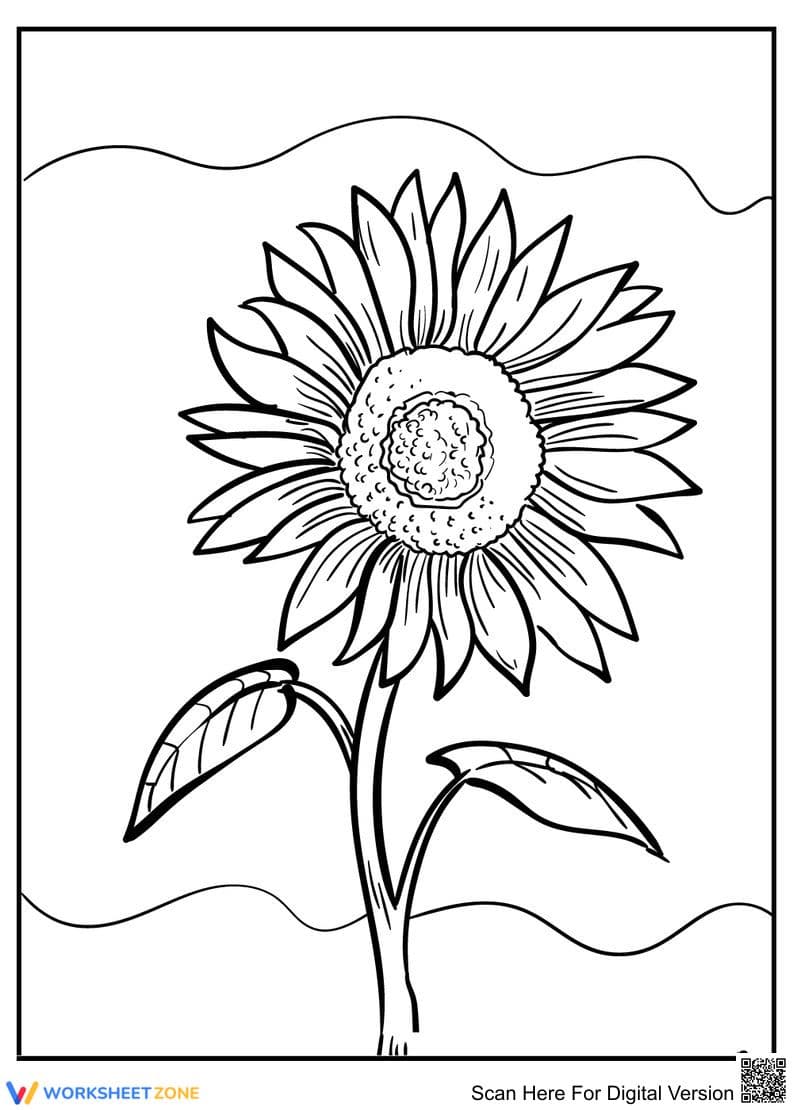 Sunflower Coloring Page | Grade K-5 Printable - Page 1
