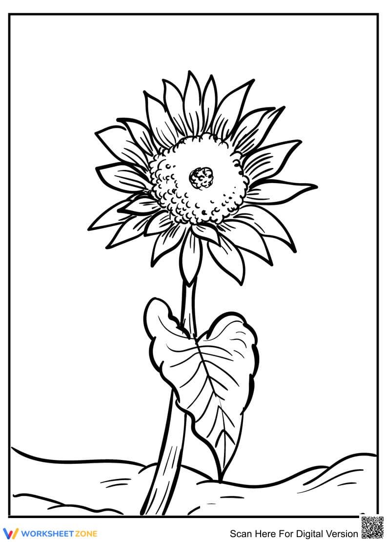 Sunflower Coloring Page | Essential Grade K-5 Art - Page 1