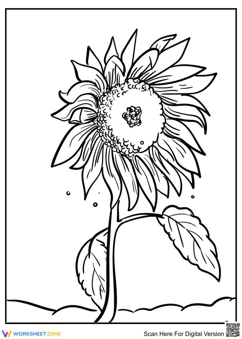 Sunflower Coloring Page | Essential Nature Worksheet - Page 1