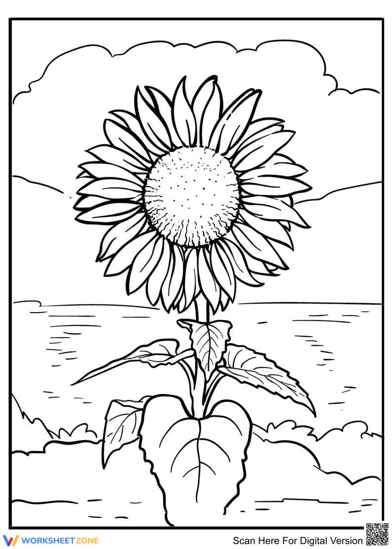 Sunflower - Page 1