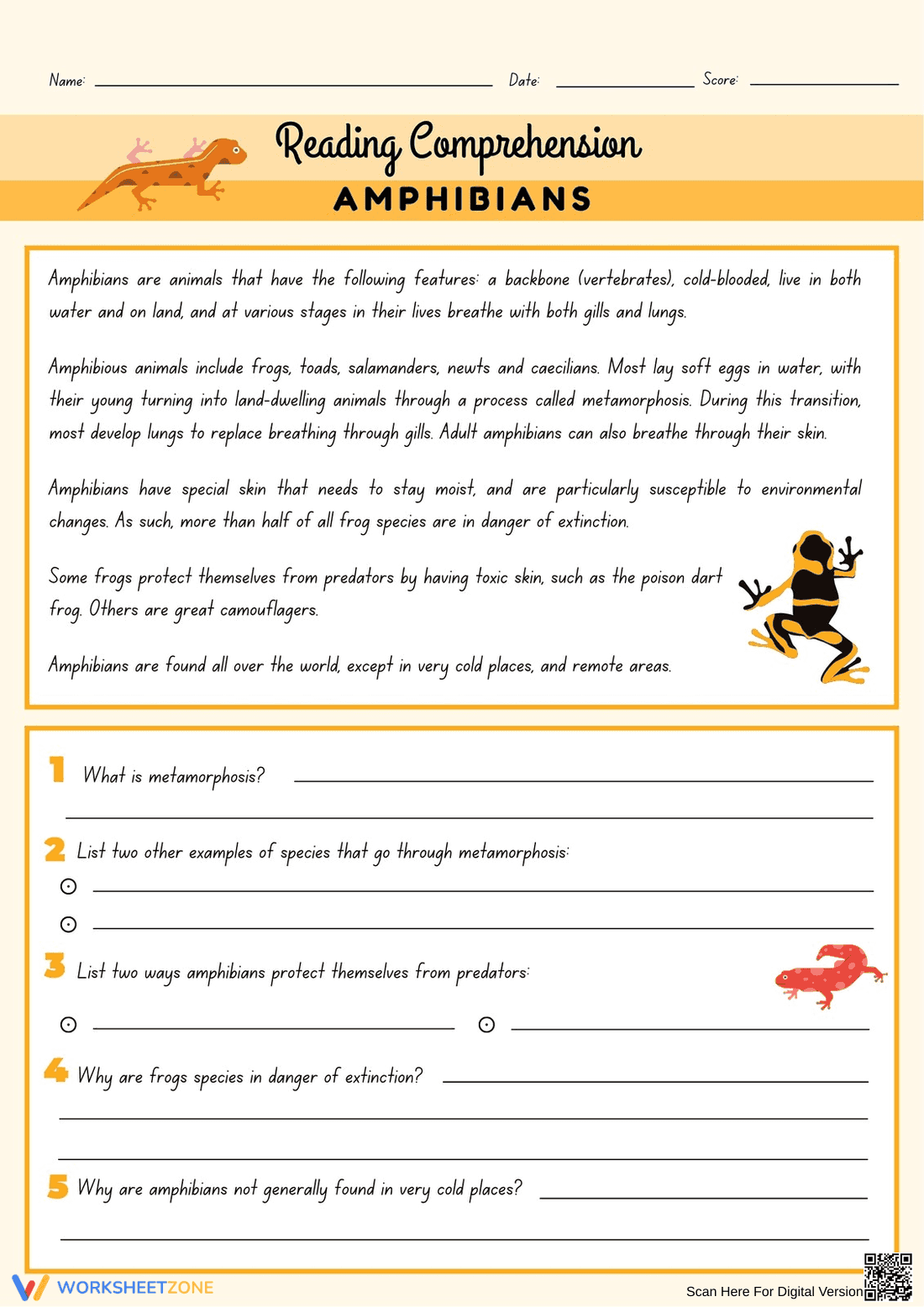 Amphibians Reading Worksheet | Grade 3 Essential - Page 1