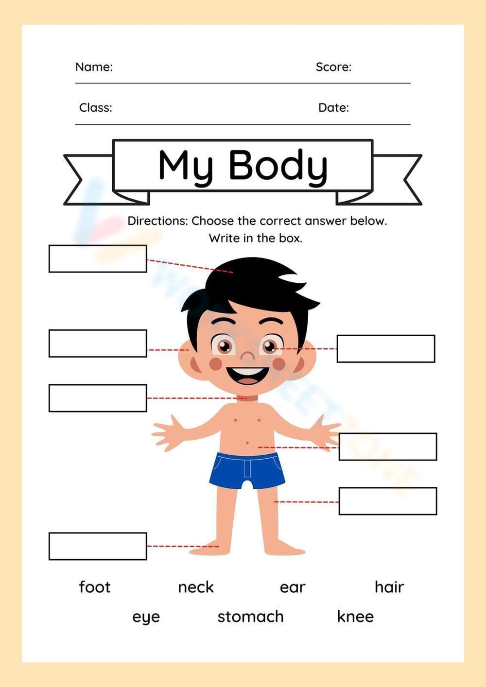Minimalist Boy Body Parts Worksheet - Page 1