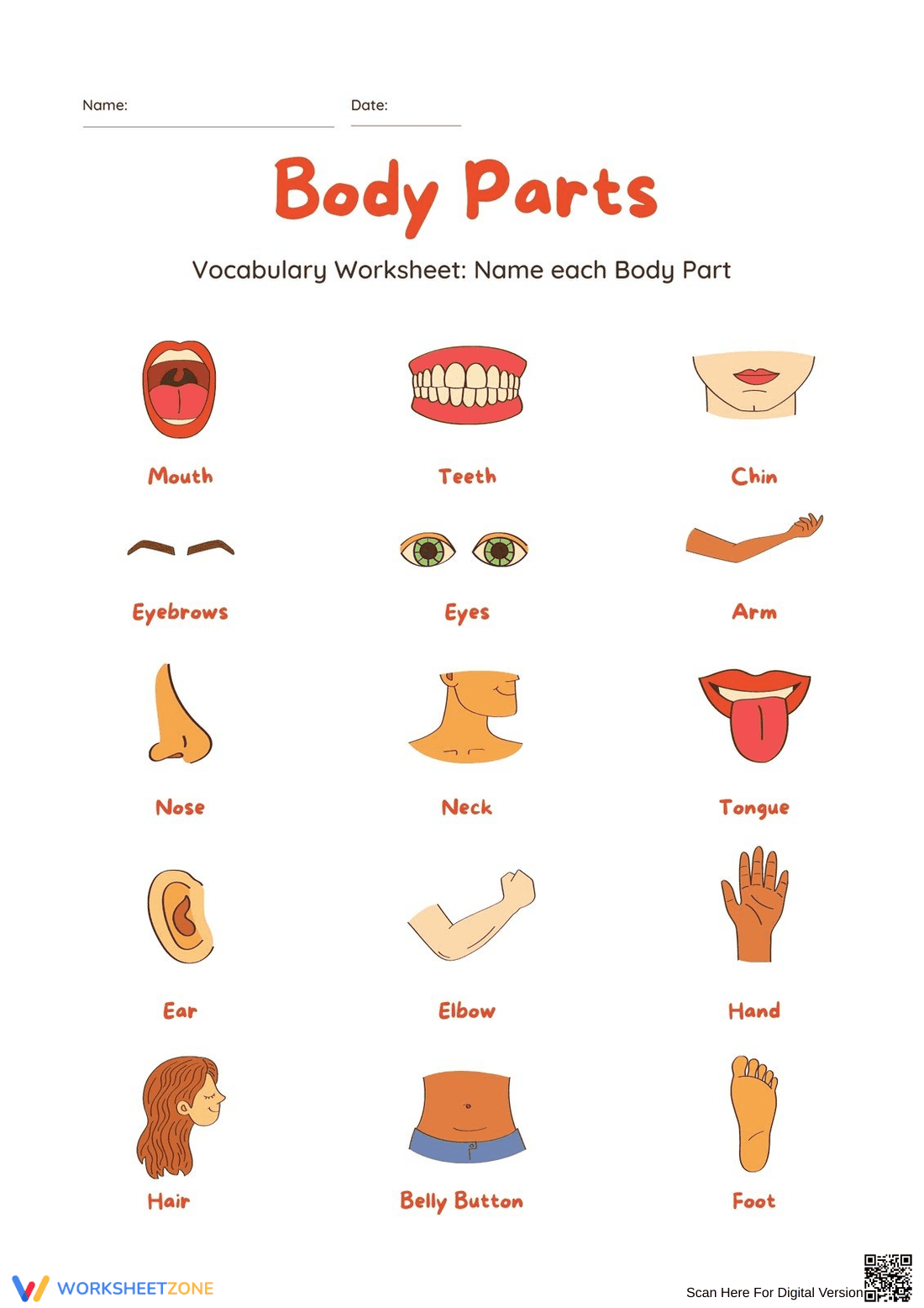 Printable Body Parts Vocabulary Worksheet | Grade K - Page 1