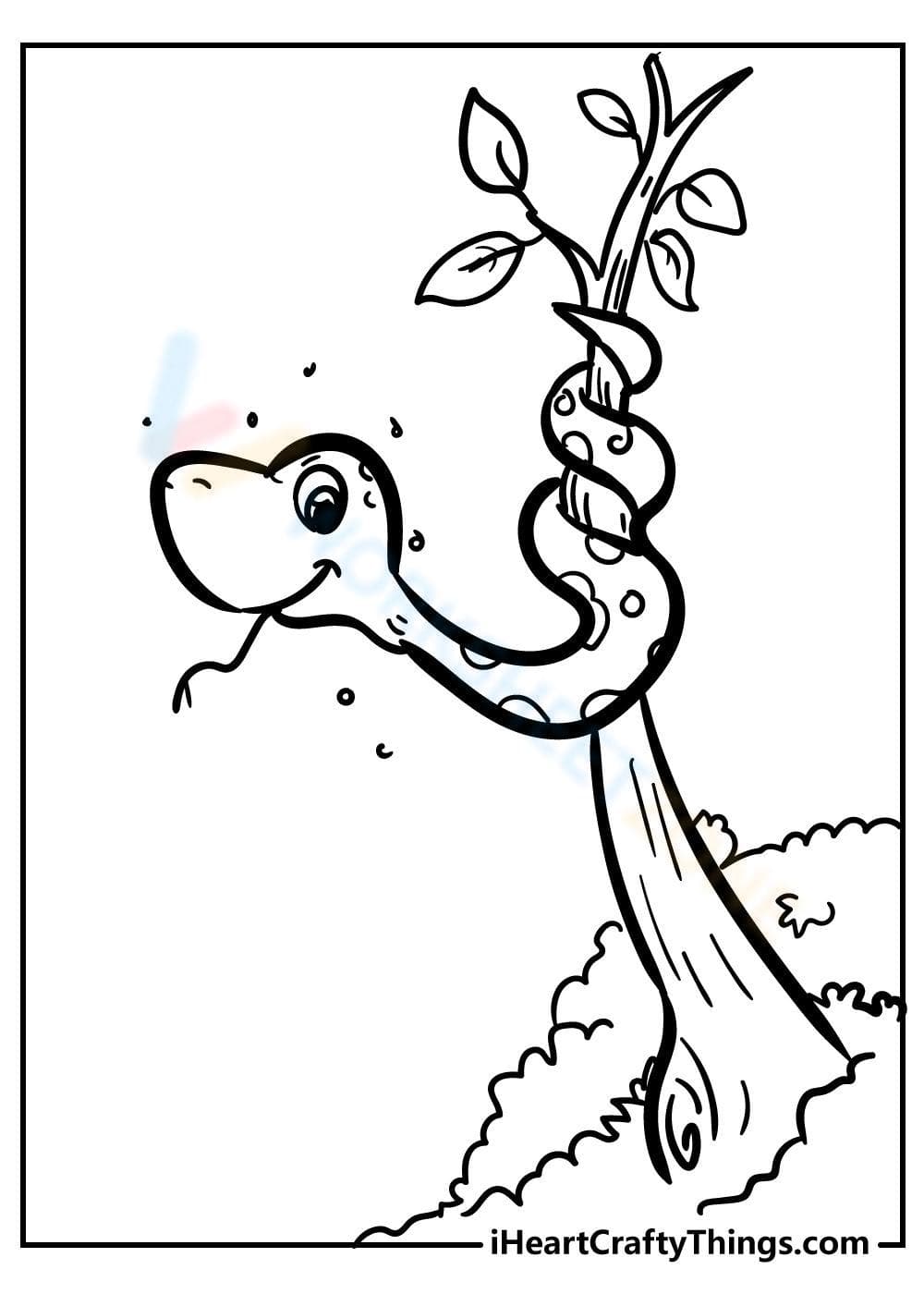 Learn about Snakes with a Photo Worksheet! - Page 1