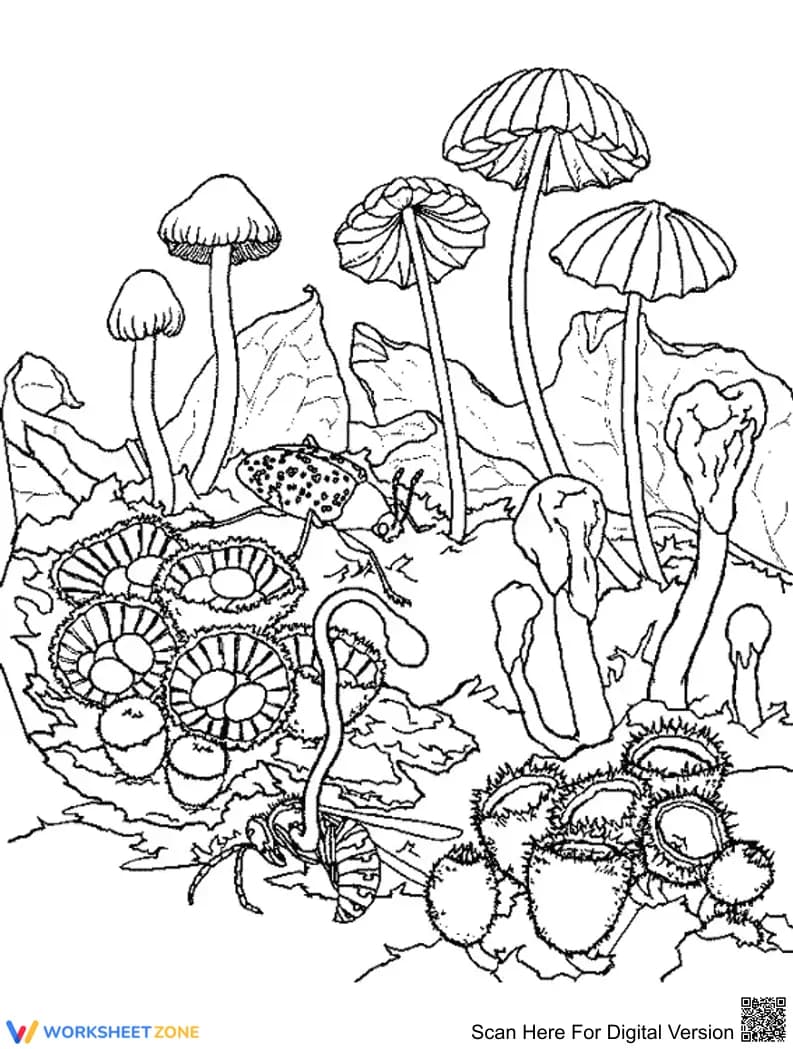 Mushroom Coloring Page | Essential Grade K-5 Nature - Page 1