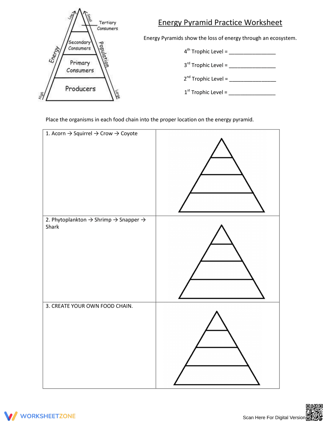 Energy Pyramid Practice Worksheet - Page 1
