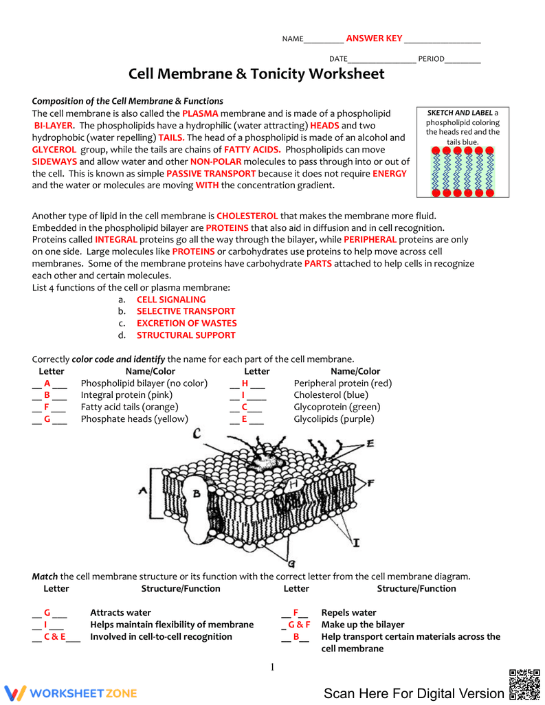 Cell Membrane Tonicity - Page 1