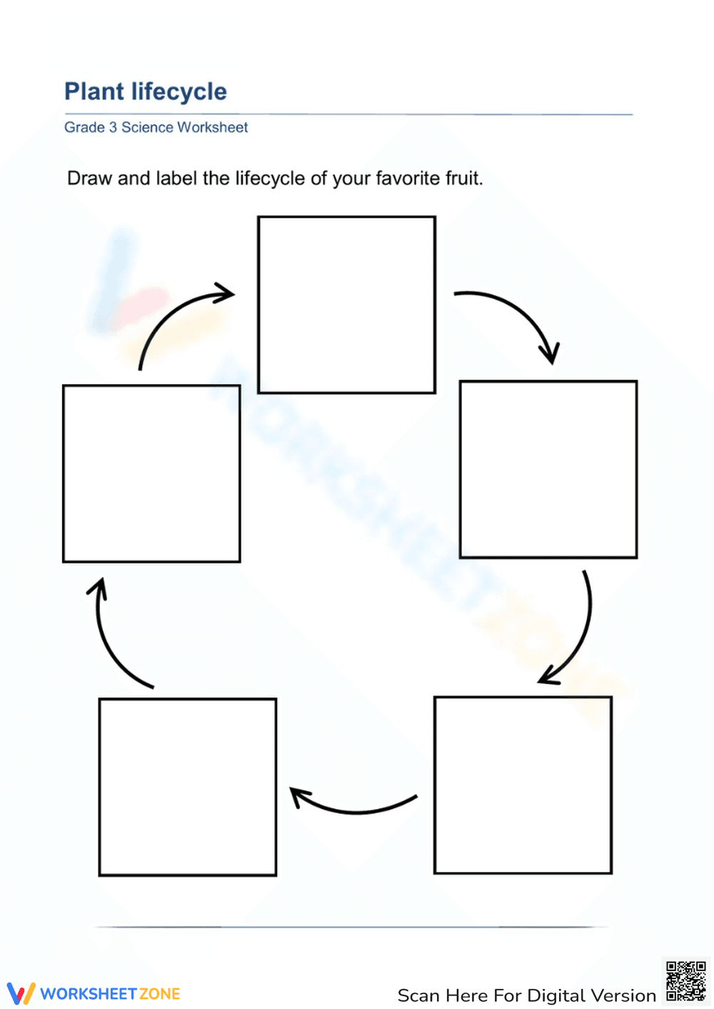 Draw and Label: Plant Life Cycle - Page 1