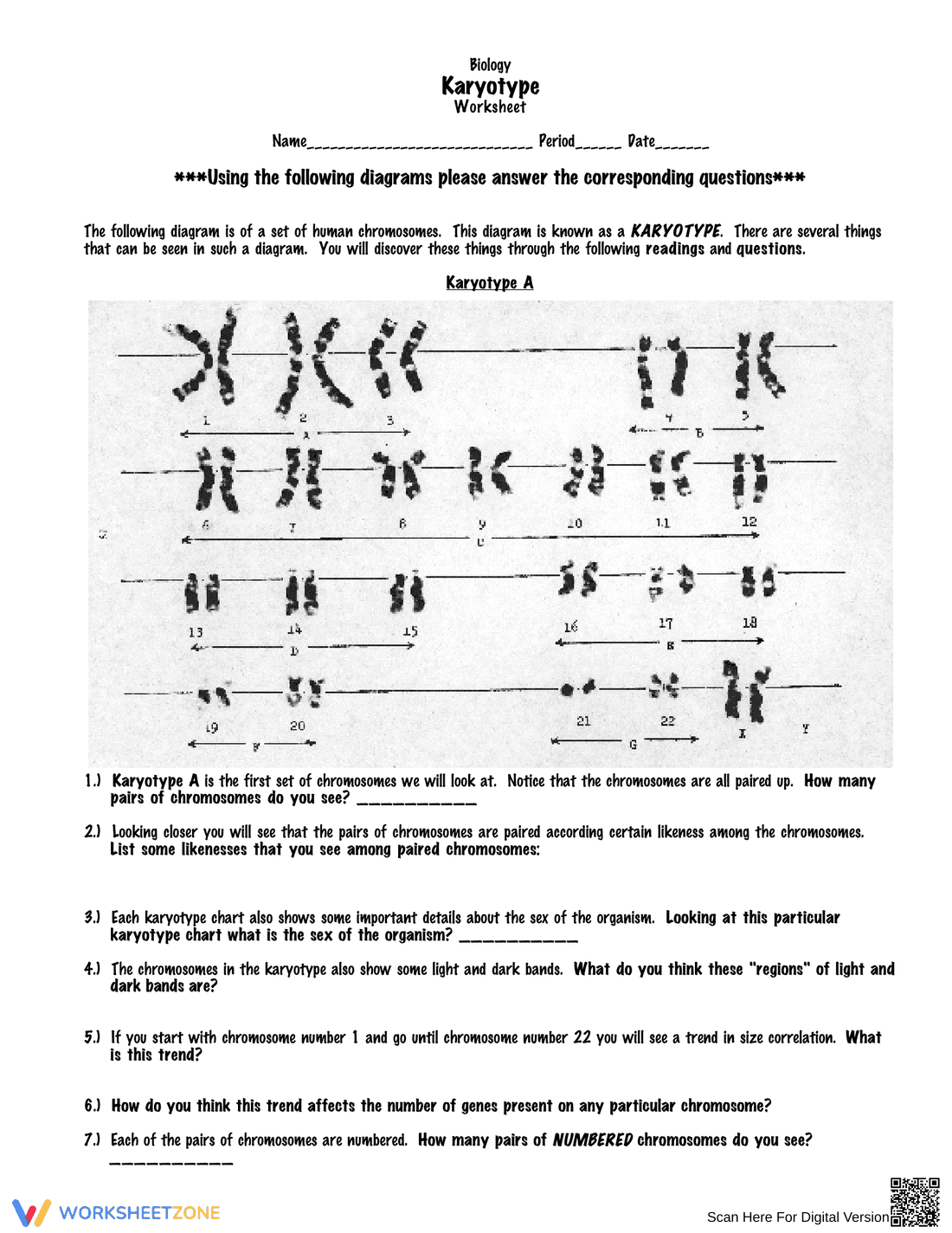 Analyze Karyotype with this Worksheet - Page 1