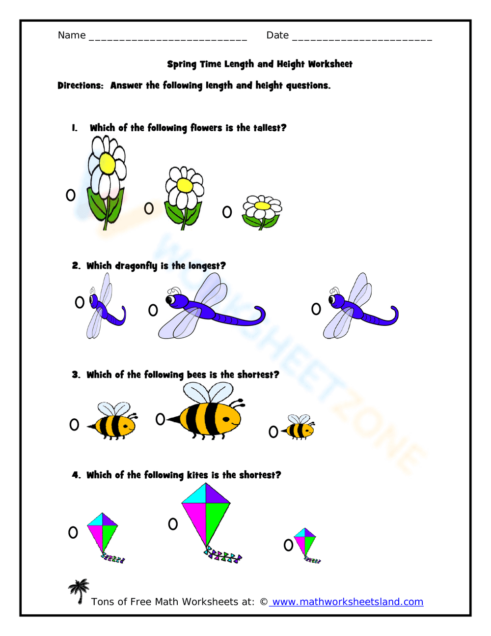Spring Length and Height Measurement Worksheet - Page 1
