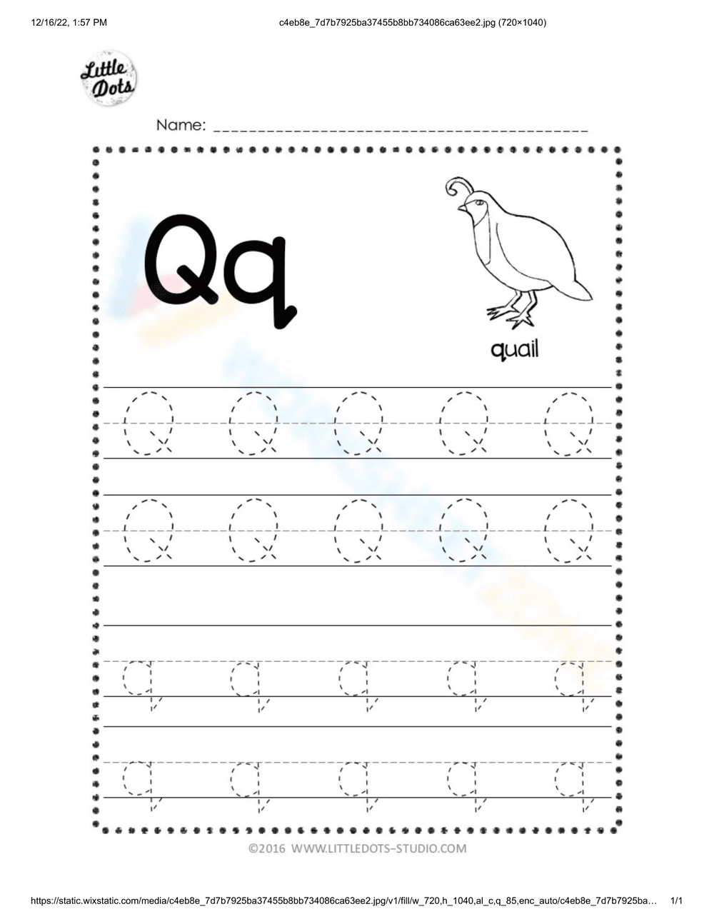 Letter Q with Quail - Page 1