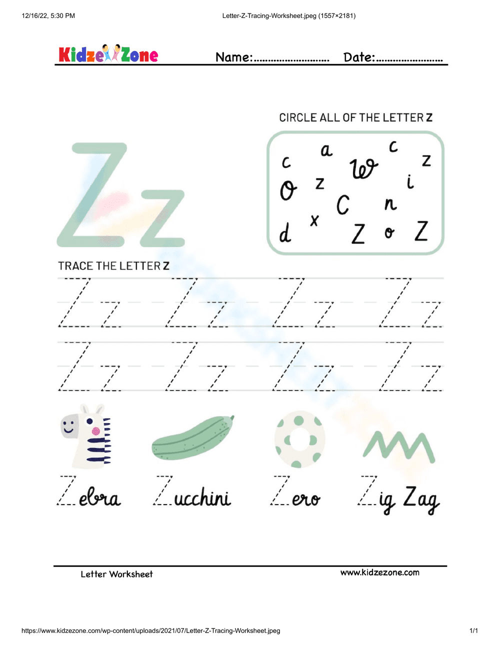 Letter Z Tracing and Recognition Activity Worksheet - Page 1