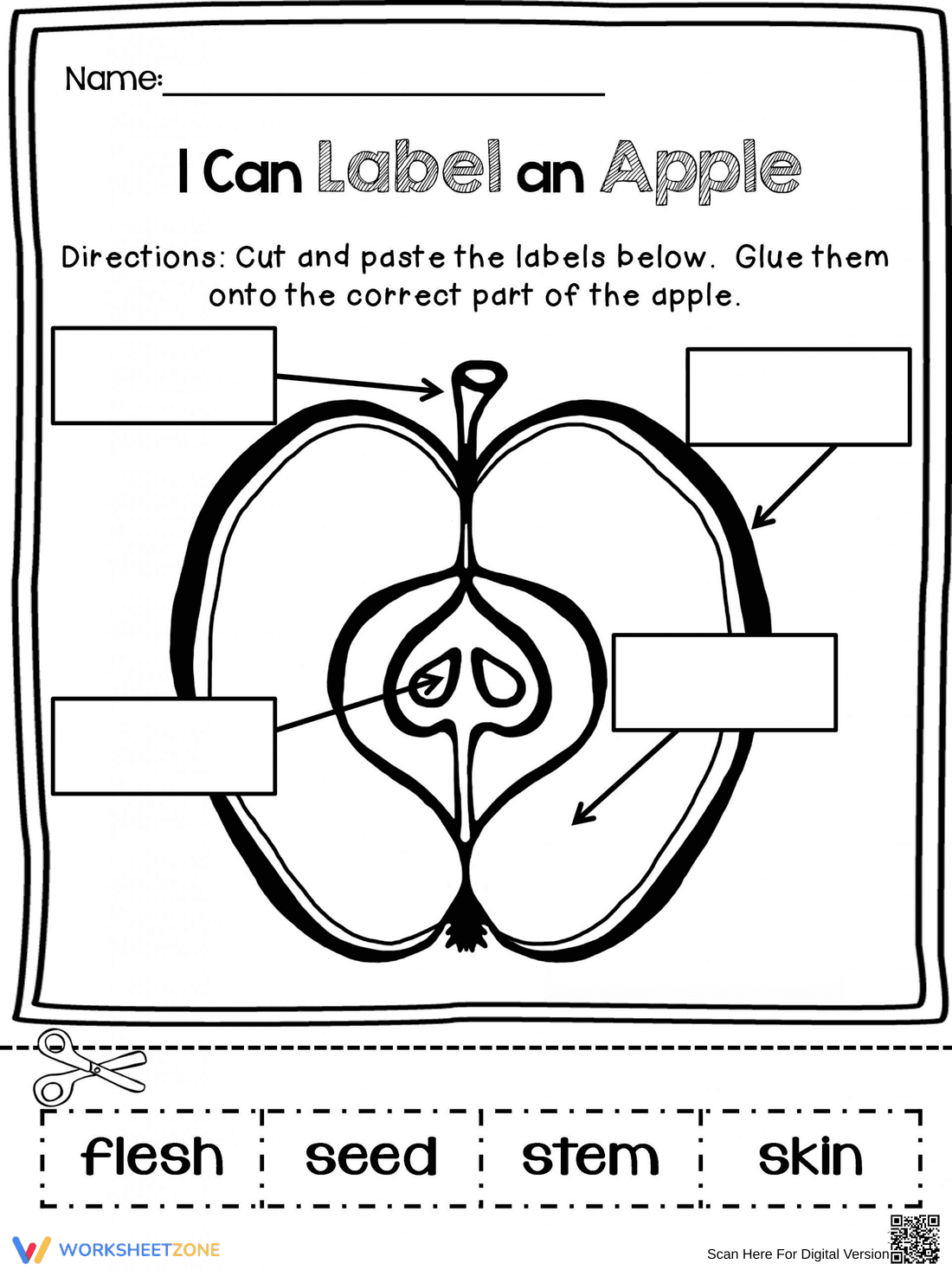 Practice Labeling an Apple with This Worksheet - Page 1