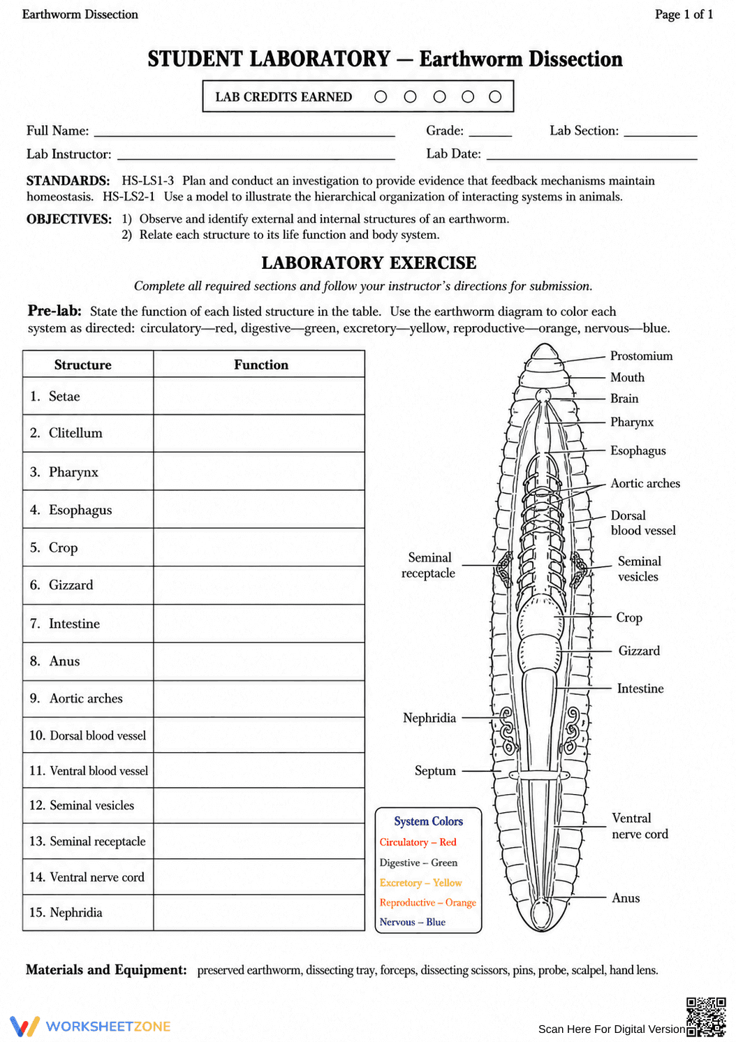 HS-LS2-1 Worksheet: Earthworm Dissection — Grade 9-12 Ready - Page 1