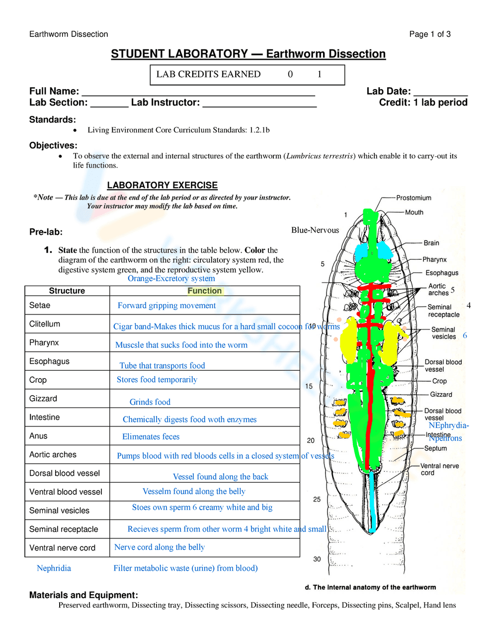 Earthworm Dissection Lab Worksheet - Page 1