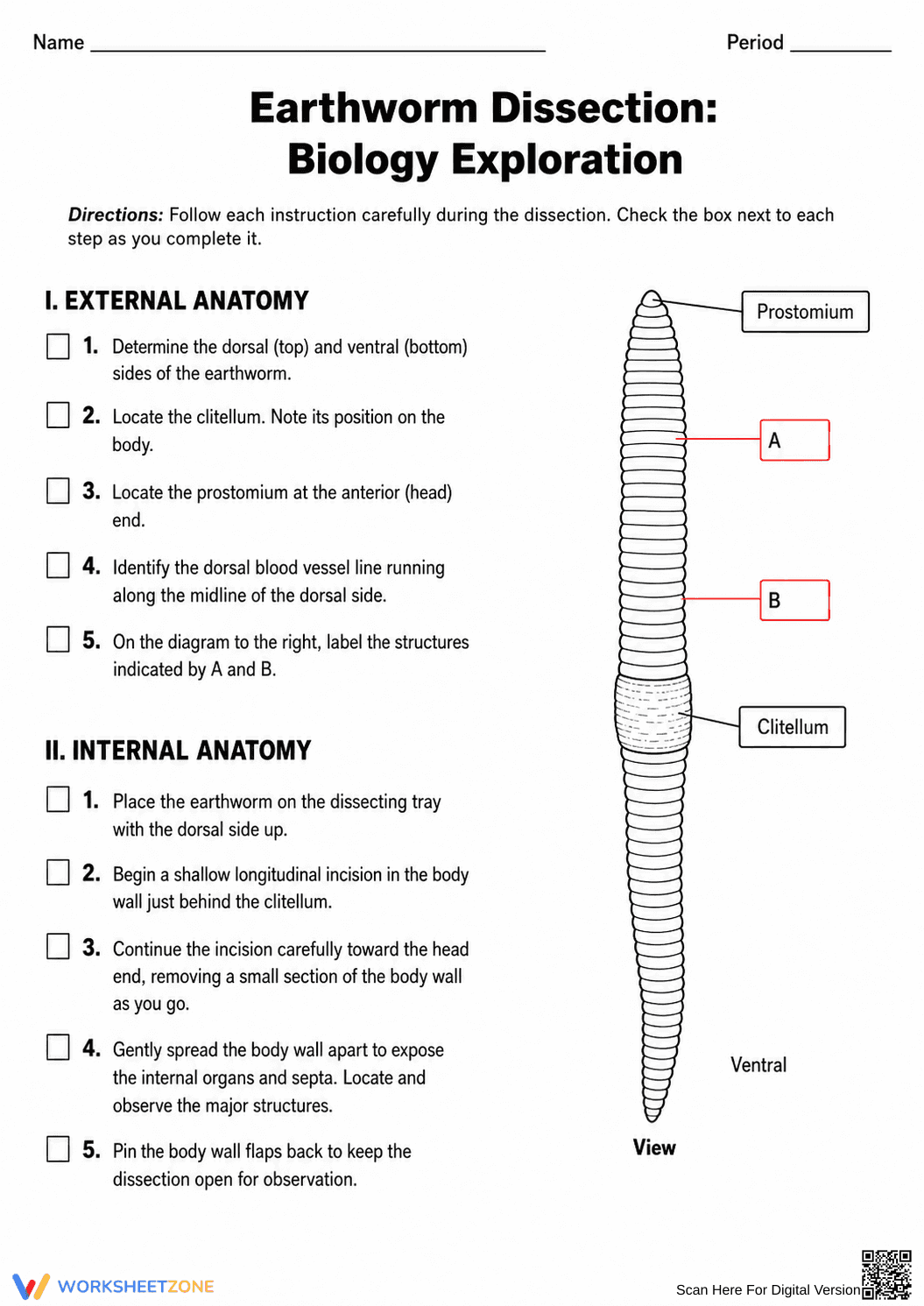 Earthworm Dissection Guide | Essential Biology Worksheet - Page 1