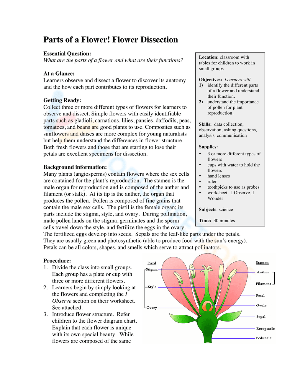 Parts of a Flower Dissection Guide - Page 1