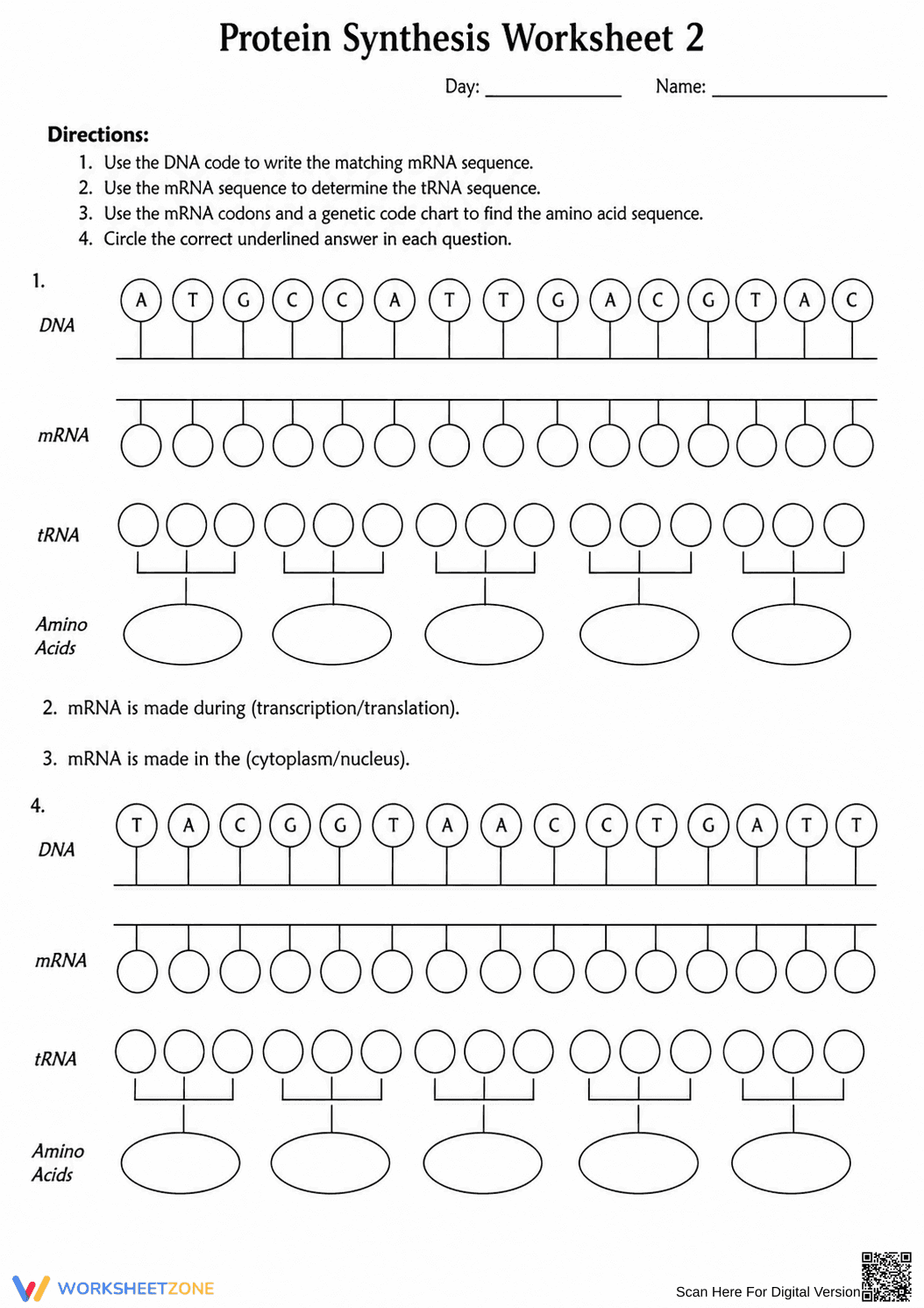 Grade 9 Protein Synthesis — Printable No-Prep Worksheet - Page 1