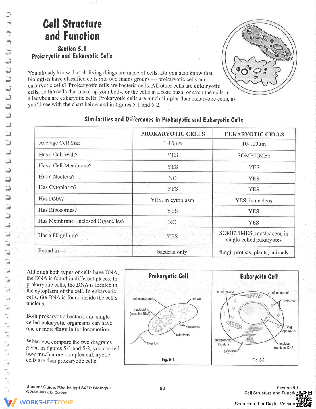 Explore Cell Structure and Function - Page 1