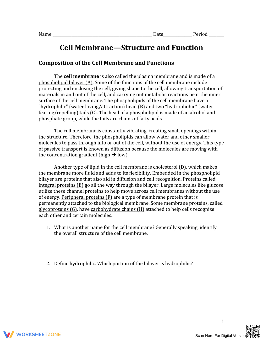 Cell Membrane Structure and Function Worksheet - Page 1