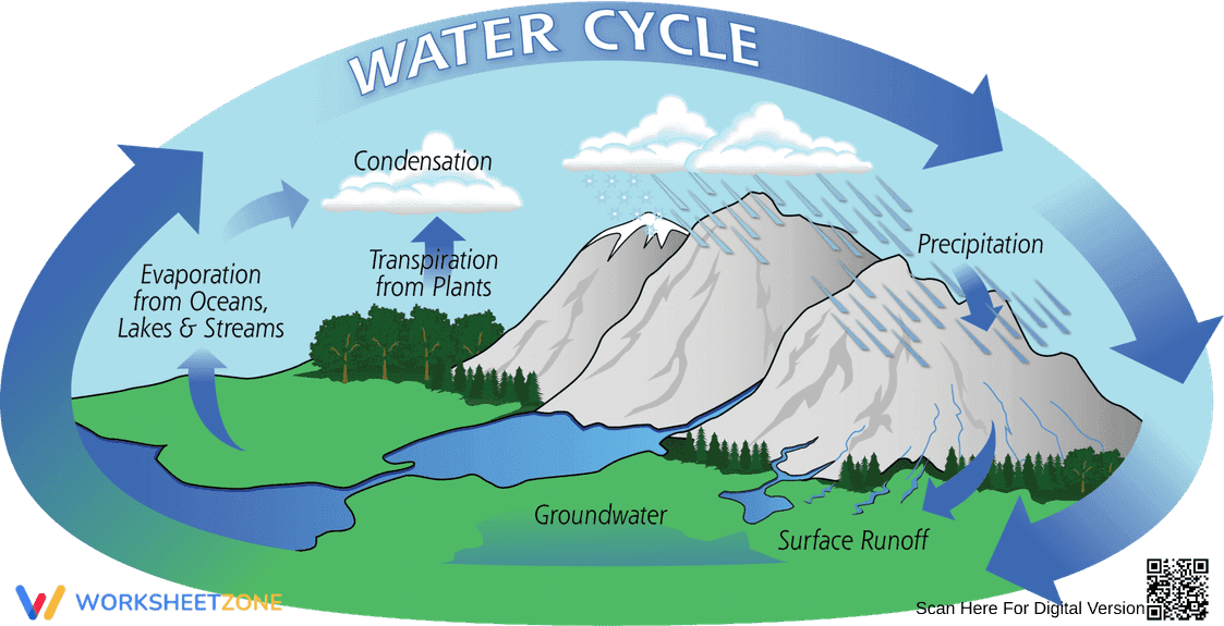 Water Cycle Diagram Worksheet | Grade 10-12 Essential - Page 1