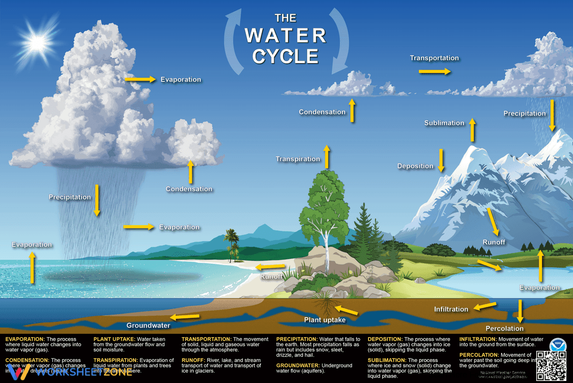 Water Cycle Infographic | Grade 6-7 Essential Guide - Page 1