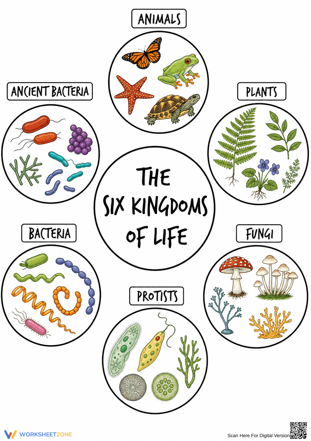 Printable Six Kingdoms of Life Worksheet | Grade 10-12 - Page 1