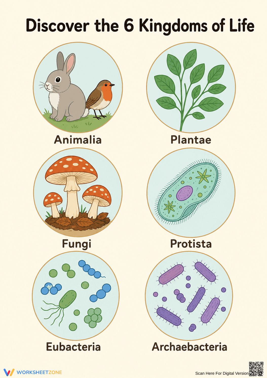Printable 6 Kingdoms of Life Poster | Grade 10-12 Science - Page 1