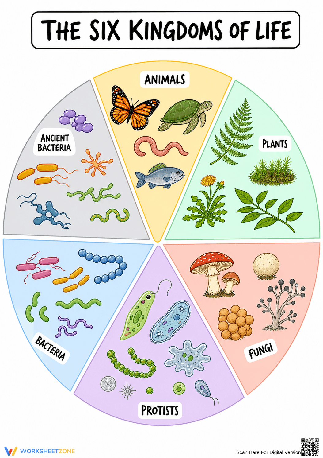 Essential Six Kingdoms of Life Guide | Grade 10-12 Biology - Page 1