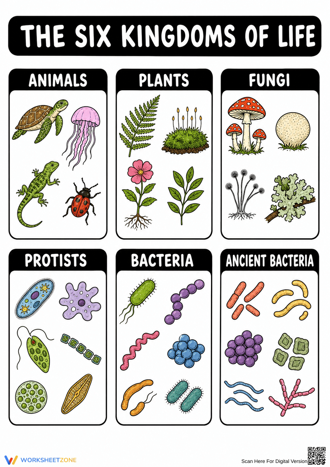 Essential Six Kingdoms of Life Worksheet | Grade 10-12 - Page 1