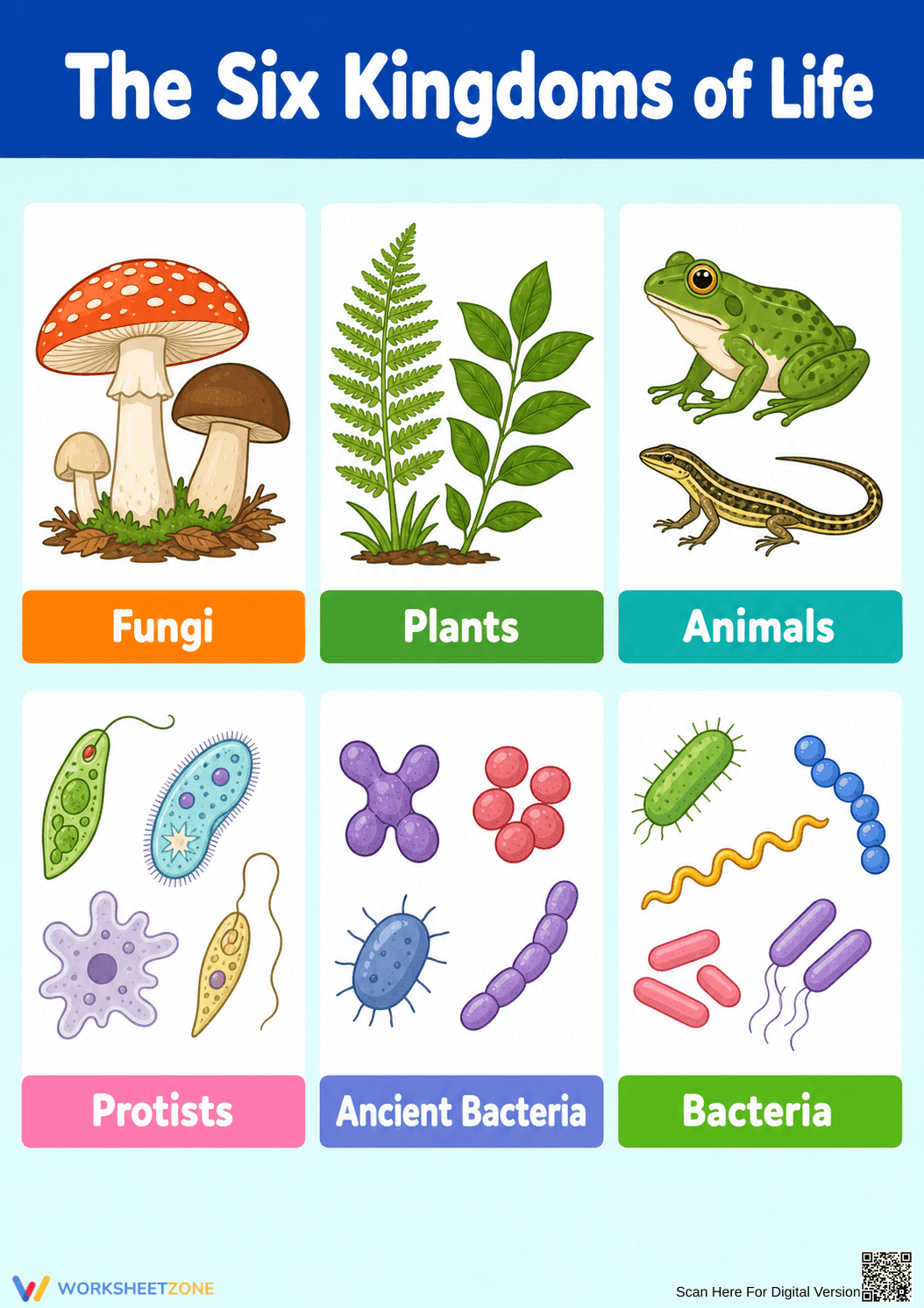 Printable Six Kingdoms of Life Chart | Grade 10 Biology - Page 1